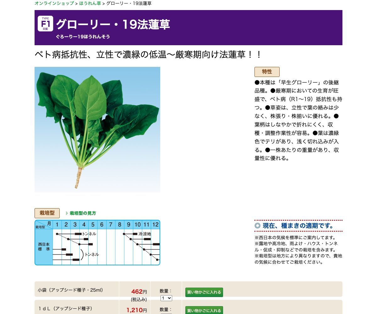 グローリー・19法蓮草