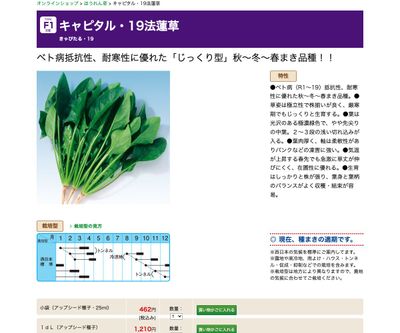 キャピタル・19法蓮草の画像