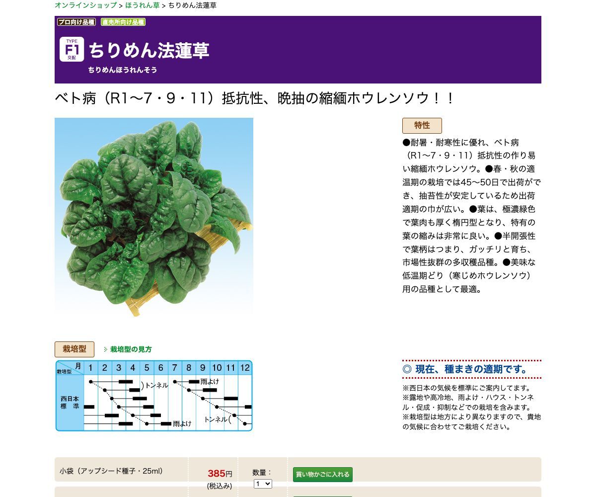 ちりめん法蓮草