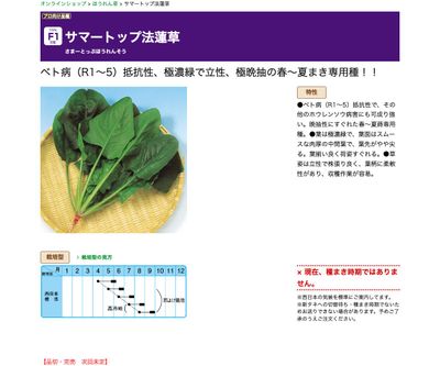 サマートップ法蓮草の画像