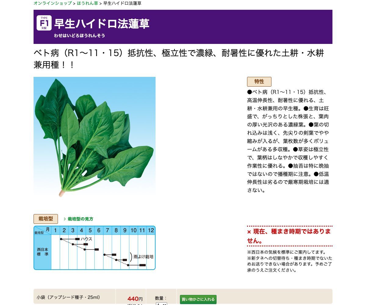 早生ハイドロ法蓮草