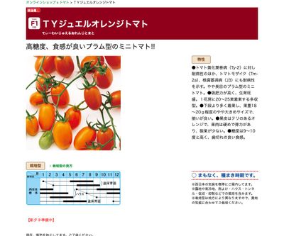 ＴＹジュエルオレンジトマトの画像
