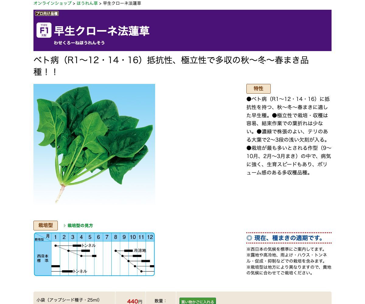 早生クローネ法蓮草