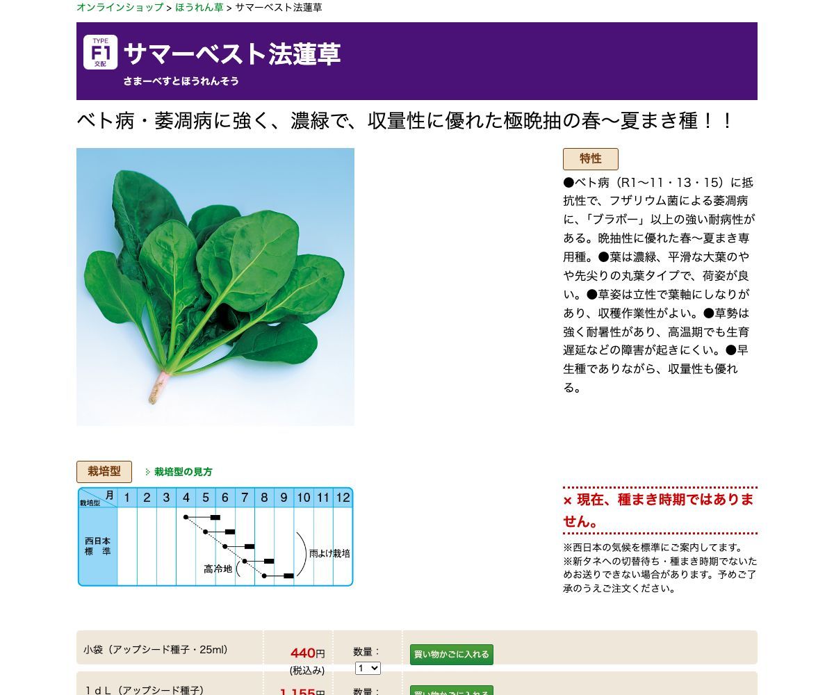 サマーベスト法蓮草