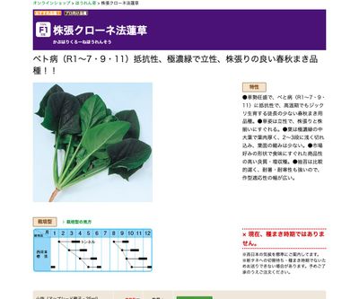 株張クローネ法蓮草の画像