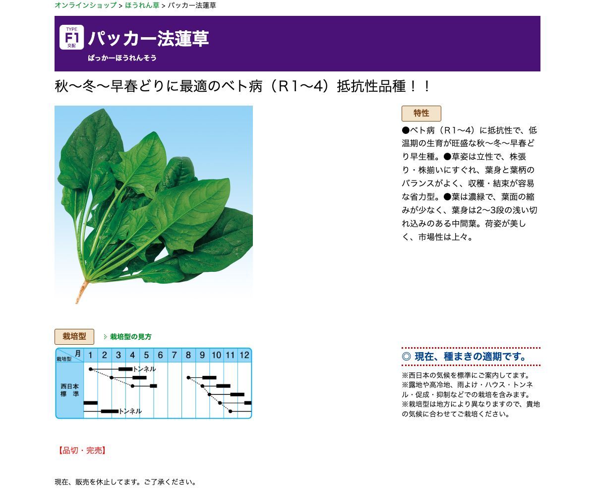 パッカー法蓮草