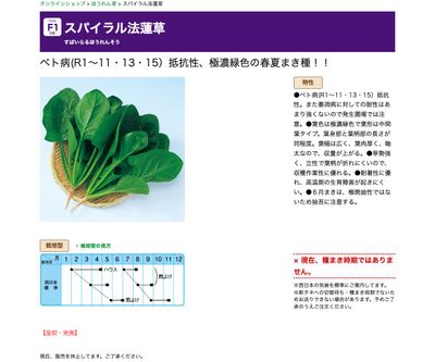 スパイラル法蓮草の画像