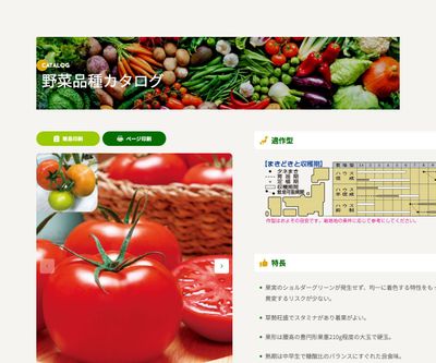 桃太郎ブライト