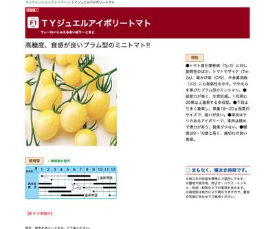 ＴＹジュエルアイボリートマトの画像