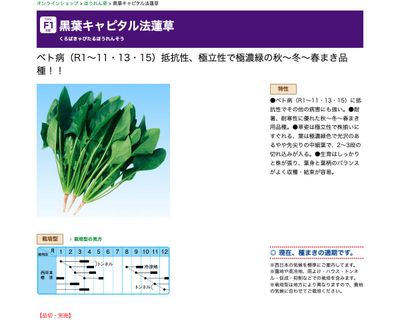 黒葉キャピタル法蓮草の画像