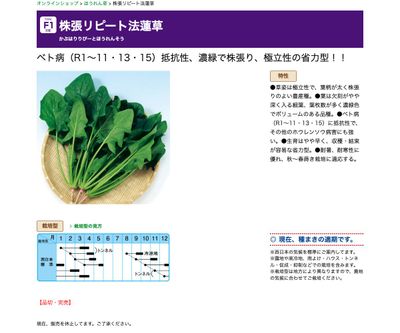 株張リピート法蓮草の画像