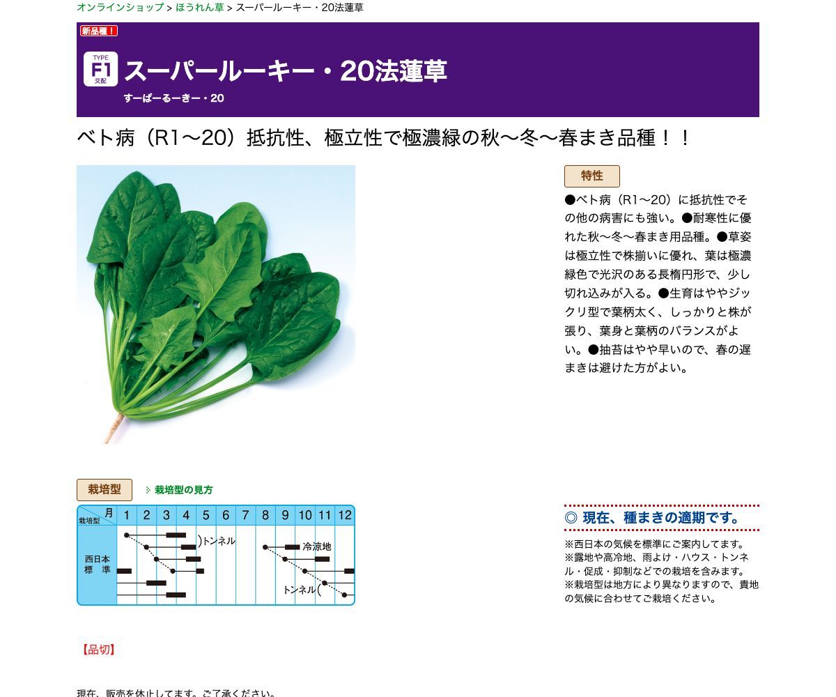 スーパールーキー・20法蓮草