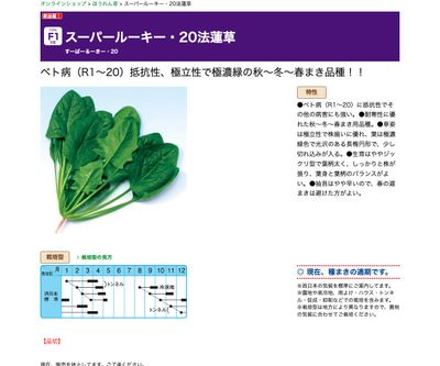 スーパールーキー・20法蓮草の画像