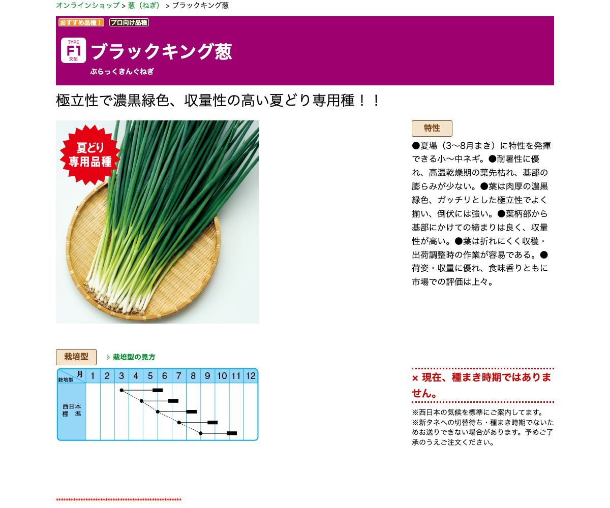 ブラックキング葱