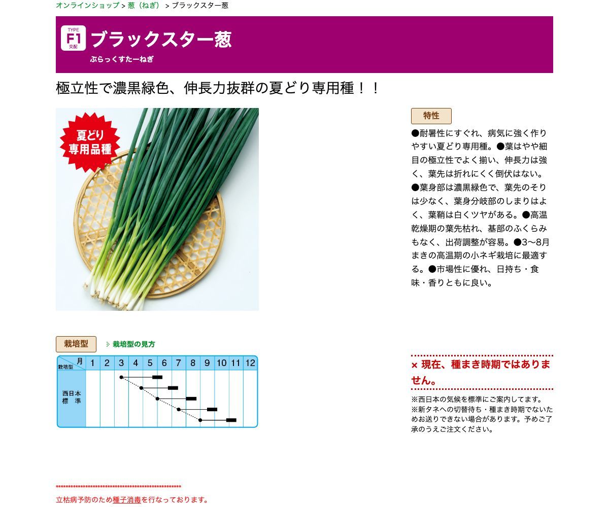 ブラックスター葱