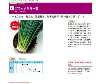 ブラックサマー葱の画像