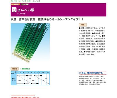 さんぺい葱の画像
