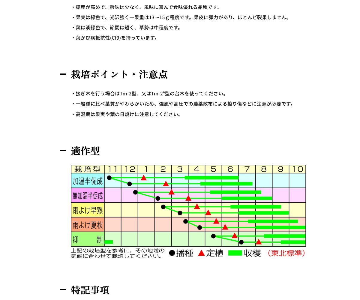 CFプチぷよグリーン