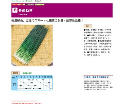 冬彦ねぎの画像