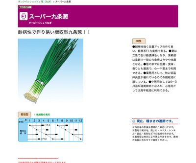 スーパー九条葱の画像