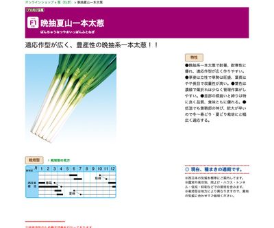 晩抽夏山一本太葱の画像