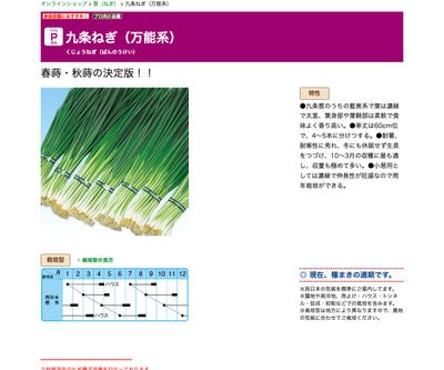 九条ねぎ（万能系）の画像