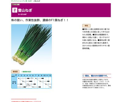雷山ねぎの画像