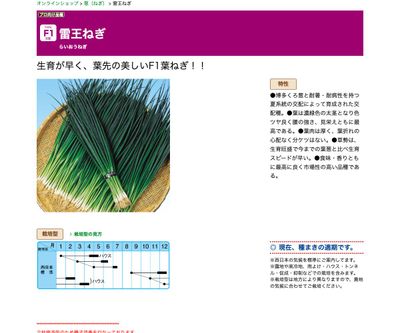 雷王ねぎの画像