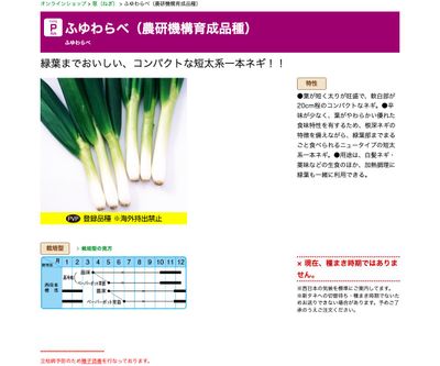 ふゆわらべ（農研機構育成品種）の画像