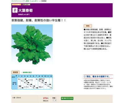 大葉春菊の画像