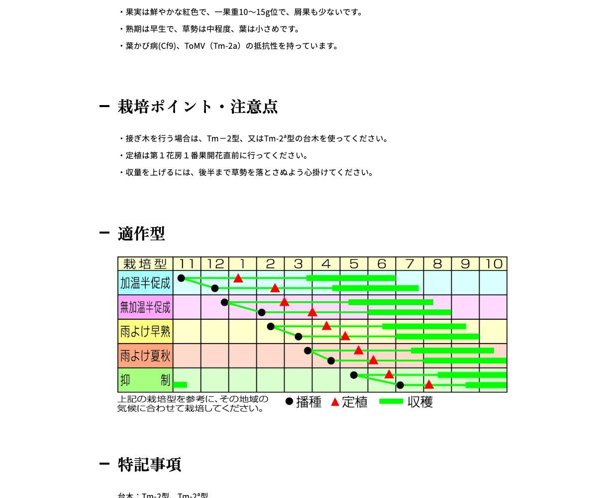 ミニルック