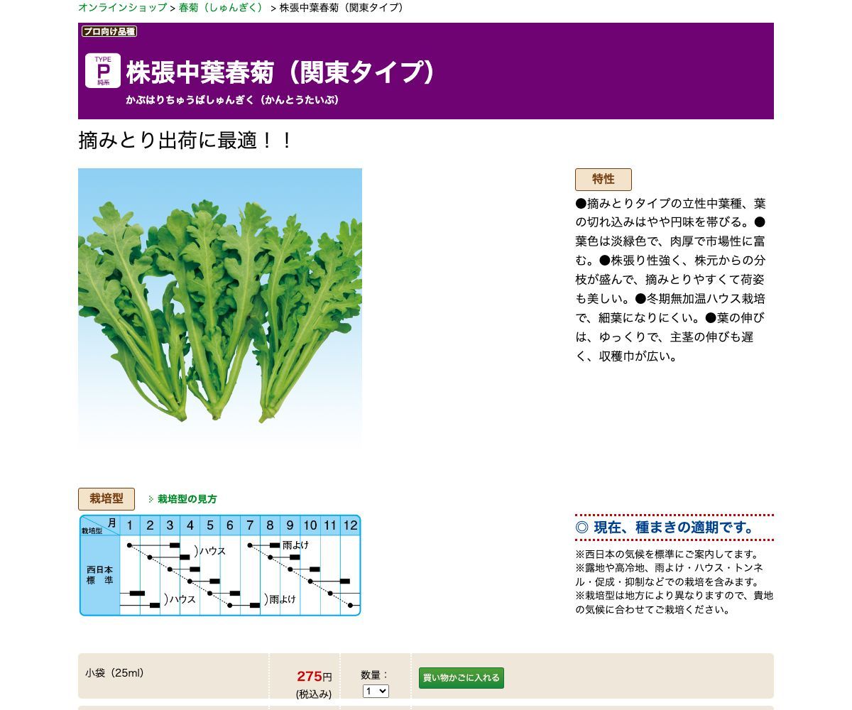 株張中葉春菊（関東タイプ）