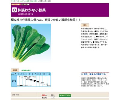 株張わかな小松菜の画像