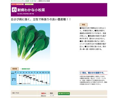 耐病わかな小松菜の画像