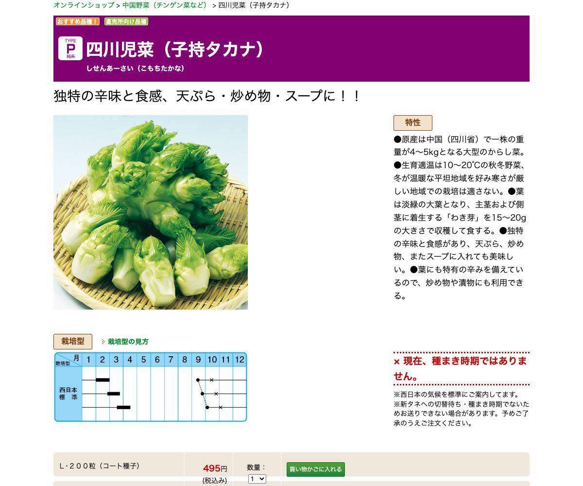 四川児菜（子持タカナ）