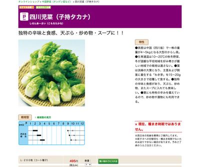 四川児菜（子持タカナ）の画像