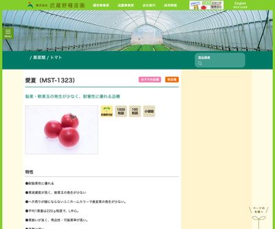 愛夏（MST-1323）の画像