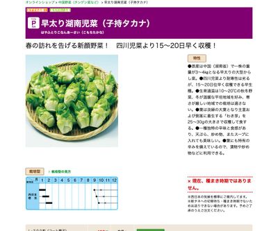 早太り湖南児菜（子持タカナ）の画像