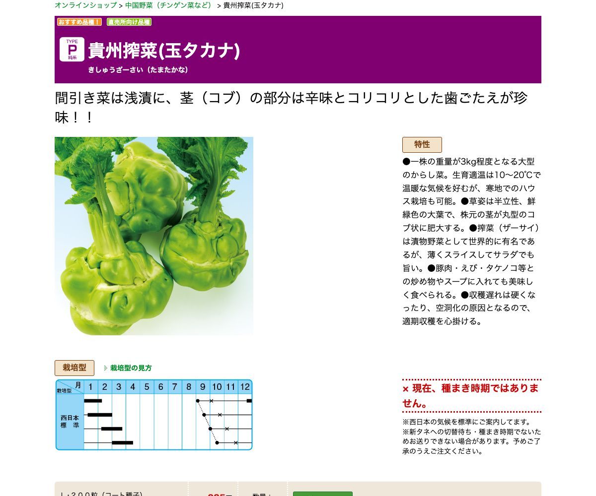 貴州搾菜(玉タカナ)