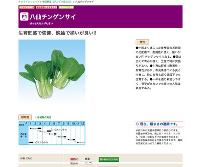 八仙チンゲンサイの画像