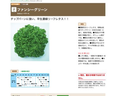 ファンシーグリーンの画像