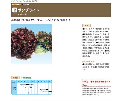 サンブライトの画像