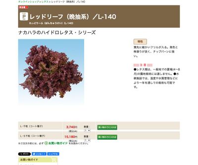 レッドリーフ（晩抽系）／L-140の画像