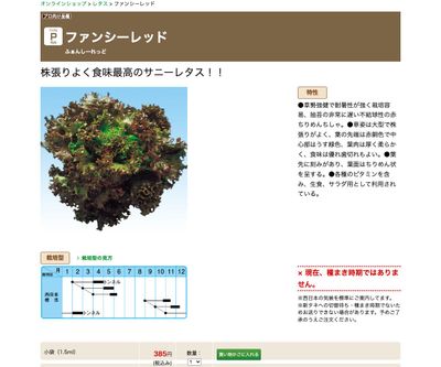 ファンシーレッドの画像