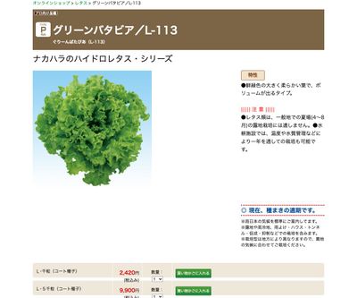 グリーンバタビア／L-113の画像