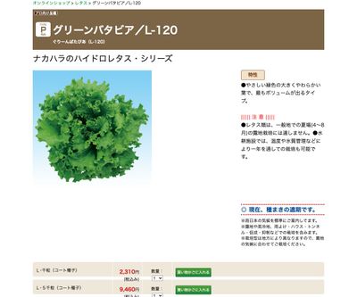 グリーンバタビア／L-120の画像