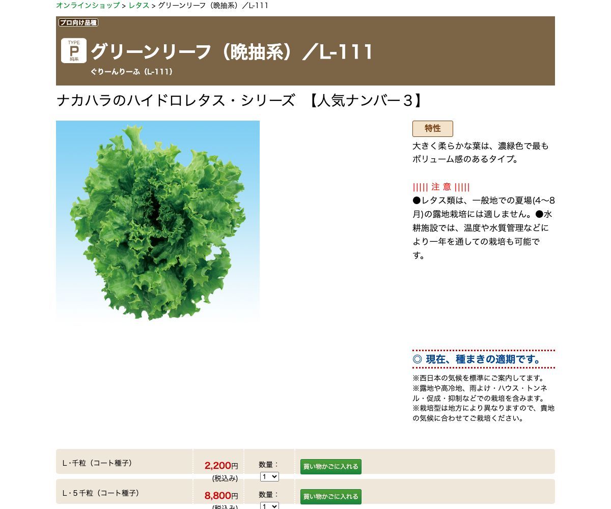 グリーンリーフ（晩抽系）／L-111