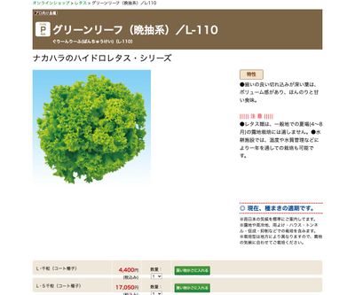 グリーンリーフ（晩抽系）／L-110の画像