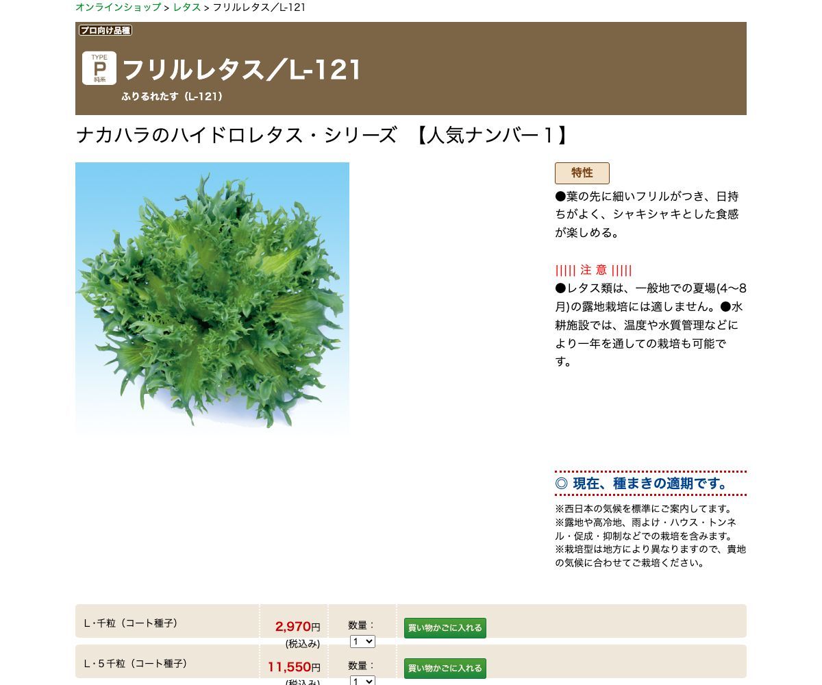 フリルレタス／L-121