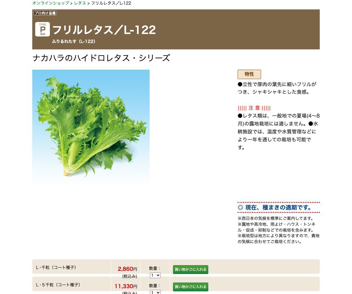 フリルレタス／L-122